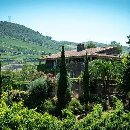 Charming With Private Pool In Villa Lamego