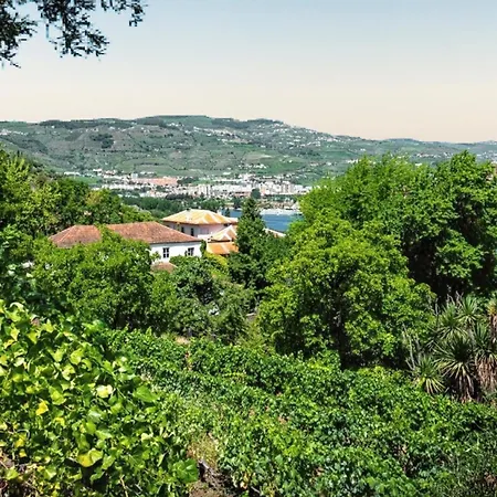 Charming With Private Pool In * Lamego