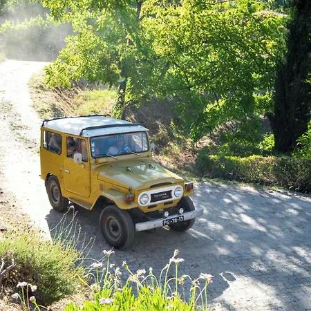 Charming With Private Pool In Villa *