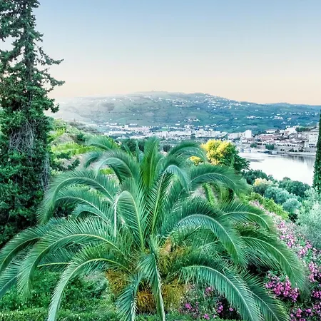 Vila Charming With Private Pool In Lamego