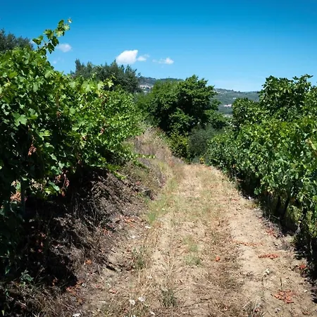 Charming With Private Pool In * Lamego