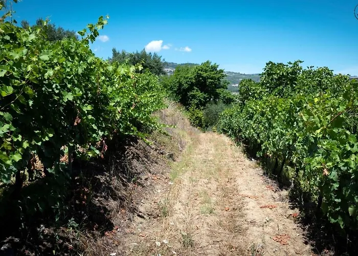 Charming With Private Pool In 빌라 *