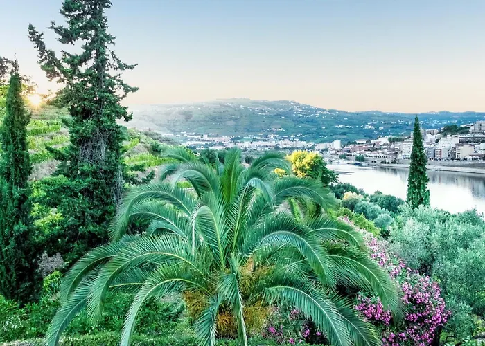 Villa Charming With Private Pool In Lamego