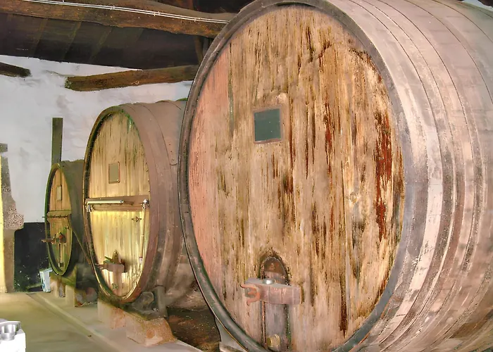 Charming With Private Pool In * Lamego